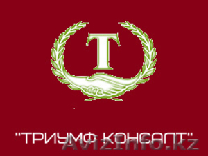 статистический отчет астана #1381339