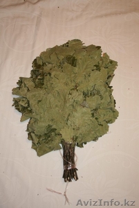 Веники для бани дубовые  #1426794