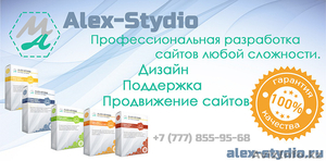 Профессиональная разработка сайтов Alex-Stydio #1358391