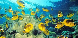 Фотокафель Кокшетау #1450302