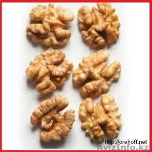 Грецкий орех и курага оптом,  доставка по РФ и СНГ #1449081