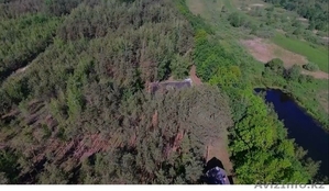 База отдыха в лесу у реки рядом с Бобруйском #1448834