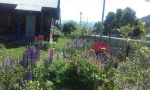 НЕДОРОГО ПРОДАМ ДВУХЭТАЖНЫЙ БЛАГОУСТРОЕННЫЙ ДОМ #1449857