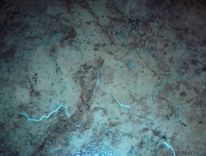  продам линолеум бывший в употреблении #1450714