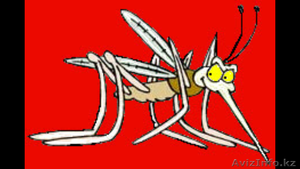 Москитные сетки в Астане! Замер доставка установка бесплатно! Бы #1455975