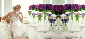 Почасовая видеосъемка в Алматы #1457107