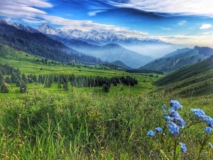 Продам кирпичный Дом общей площадью 77 кв.м #1466925