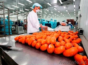  На работу в Польше нужны упаковщики колбасных изделий #1468424