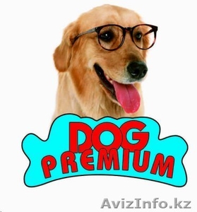 Ветеринарная клиника Dog Premium на Зимней улице  #1469758