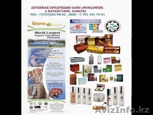 Крупная малазийская компания ищет региональных представителей по Казахастану #1470330