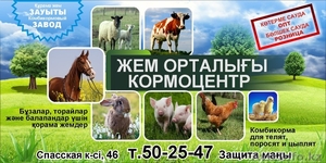 Продаем комбикорма #1468607