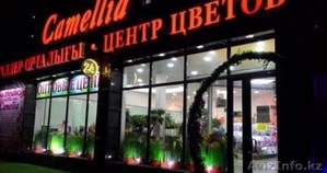 ЦЦ Camellia объявляет набор сотрудников #1477221