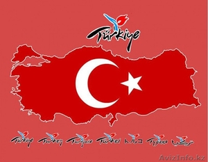 Курсы турецкого языка с OLS! #1490643