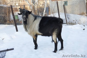 Свой частный
