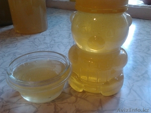 Натуральный мёд ВКО #1485517
