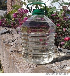 Пихтовое масло          #1485513