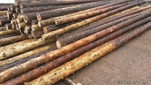 столбы деревянные для  ЛЭП и связи #1489529