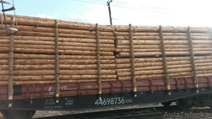 деревянные опоры ЛЭП и связи #1489523