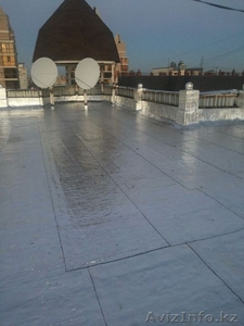 Ризолин в  Астане #1485304