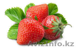 альбион- рассада клубники  #1489153