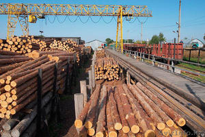 Торгово-транспортная компания Керемет #1484449