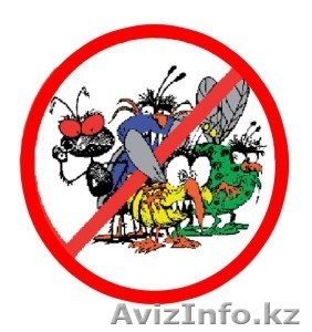 Уничтожение клопы Астана #1494376