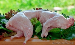 Продажа мяса кролика #1494627