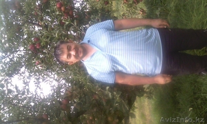 яблоки,  местные,  разных сортов. #1495084