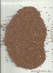 лен масличный 2000 тонн #1499078