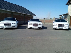 Прокат. От компании 