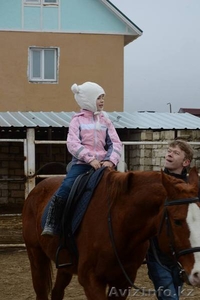 Иппотерапия- лечебная гимнастика на лошади. #1508669