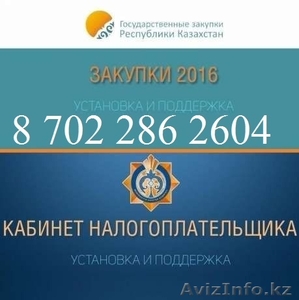 Услуги программиста 8.702.286