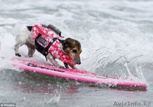 горящий тур о.хайнань #1512960