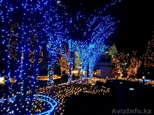 Дюралайт светодиодный всех цветов,  гирлянды,  светодиодные фигуры #1507846