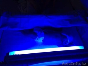 Фотолампа для лечения желтушки #1509732