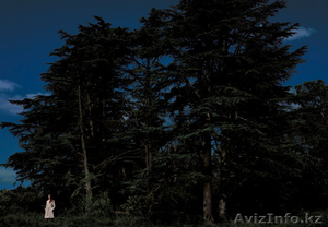 Изготовление фильма-памяти о родных,  родственниках,  друзьях. #1512988