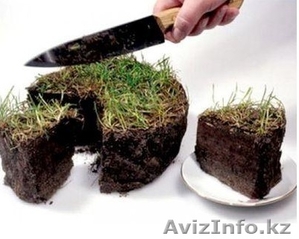 Юридическое сопровождение по земельному вопросу  #1508667