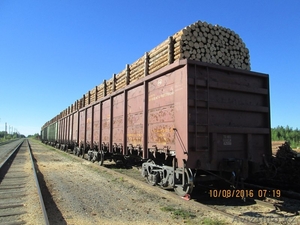 Балансы,  пиловочник,  обрезной пиломатериал #1507975