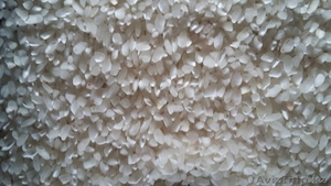 Продам самый лучший рис! #1505340