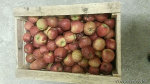 ТОО Агропромэнерго-К #1511493