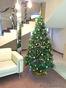 4 шага купить ёлку в Алматы #1508055