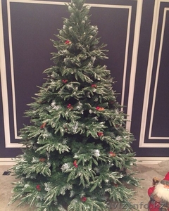 Где купить хорошую елку? #1508053