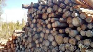  Предлагаю по ведению бизнеса #1515374