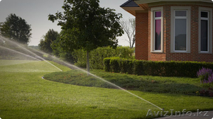 семена для газона астана #1519290