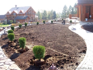 посадка деревьев и кустарников астана #1519344