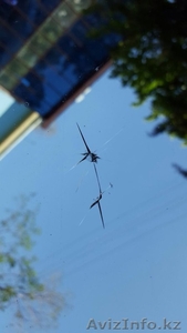 Реставрация,  ремонт лобовых автостекол. Сколы и трещины #1516074