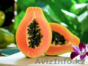 Папайя из Испании #1515536