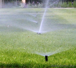 озеленение территории астана #1519295