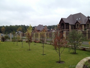 озеленение астана #1519294