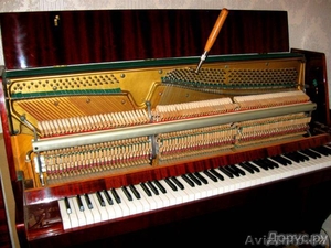 Настройка и ремонт пианино фортепиано качественно.  #1523303